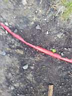 DunAbhainn  14670.jpg
